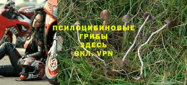 дмт Приозерск