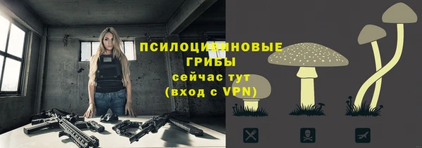 дмт Приозерск