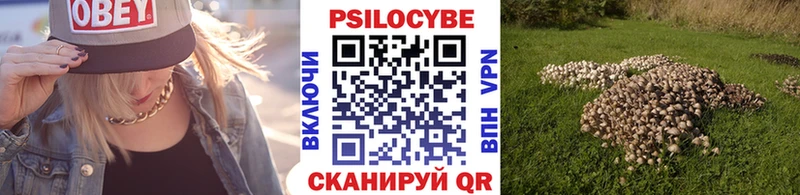 Псилоцибиновые грибы MAGIC MUSHROOMS  купить   Себеж 